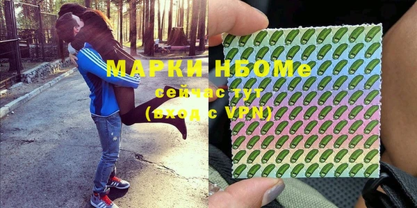 прущие грибы Саяногорск