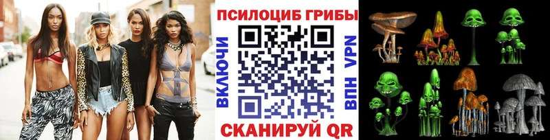 omg tor  Белорецк  Галлюциногенные грибы Cubensis 